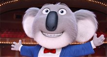 Sing - Photo Gallery