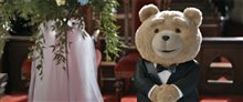 Ted 2 - Photo Gallery