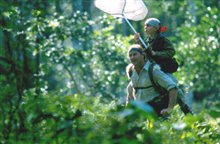 The Blue Butterfly - Photo Gallery