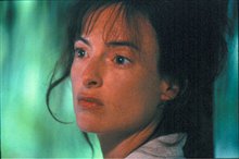 The Blue Butterfly - Photo Gallery