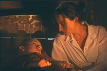 The Blue Butterfly - Photo Gallery
