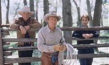 The Horse Whisperer - Photo Gallery