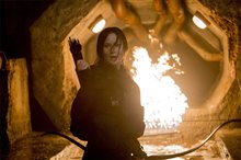 The Hunger Games: Mockingjay - Part 2 - Photo Gallery