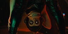 The Monkey - Photo Gallery