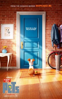 The Secret Life of Pets - Photo Gallery