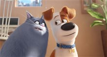 The Secret Life of Pets - Photo Gallery
