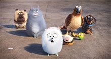 The Secret Life of Pets - Photo Gallery