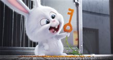 The Secret Life of Pets - Photo Gallery