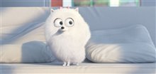 The Secret Life of Pets - Photo Gallery