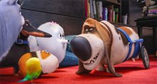 The Secret Life of Pets - Photo Gallery