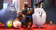 The Secret Life of Pets - Photo Gallery