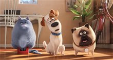The Secret Life of Pets - Photo Gallery