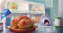 The Secret Life of Pets - Photo Gallery