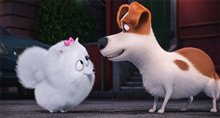 The Secret Life of Pets - Photo Gallery