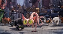 The Secret Life of Pets - Photo Gallery