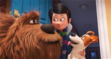 The Secret Life of Pets - Photo Gallery