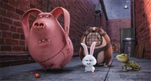 The Secret Life of Pets - Photo Gallery