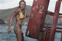 The Shallows - Photo Gallery