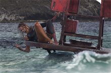 The Shallows - Photo Gallery