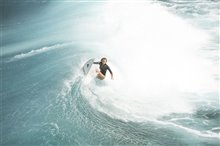 The Shallows - Photo Gallery