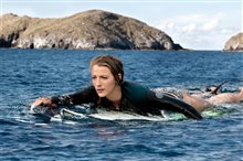 The Shallows - Photo Gallery