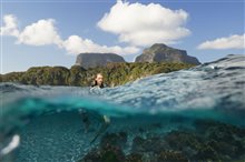 The Shallows - Photo Gallery