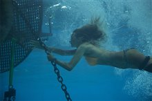 The Shallows - Photo Gallery