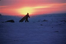 The Snow Walker - Photo Gallery