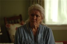 The Stone Angel - Photo Gallery