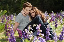 The Twilight Saga: Breaking Dawn - Part 2 - Photo Gallery