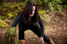 The Twilight Saga: Breaking Dawn - Part 2 - Photo Gallery