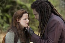 The Twilight Saga: New Moon - Photo Gallery