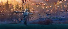 The Wild Robot - Photo Gallery