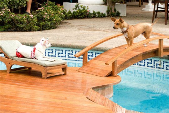 Beverly Hills Chihuahua - Photo Gallery