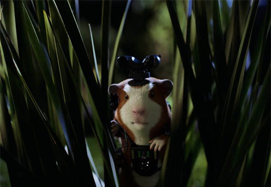 G-Force - Photo Gallery