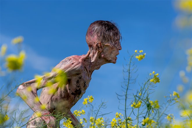 28 Years Later - Photo Gallery