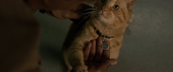 Captain Marvel - Photo Gallery