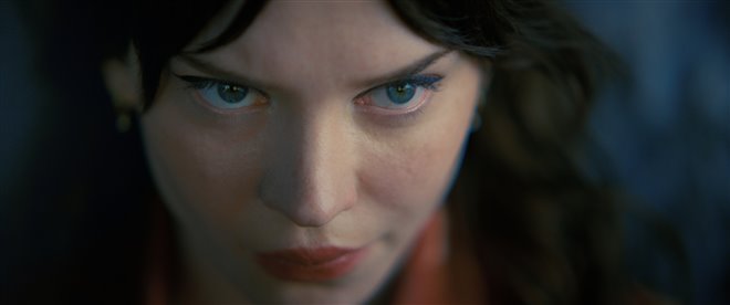 Companion - Photo Gallery