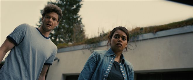 Companion - Photo Gallery
