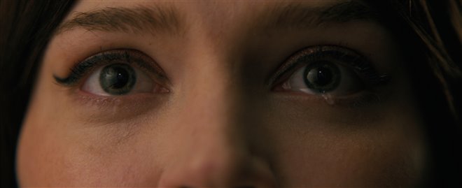 Companion - Photo Gallery
