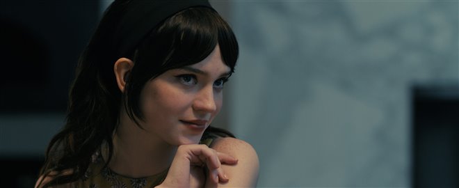 Companion - Photo Gallery