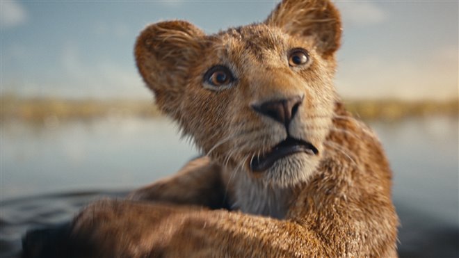 Mufasa: The Lion King - Photo Gallery