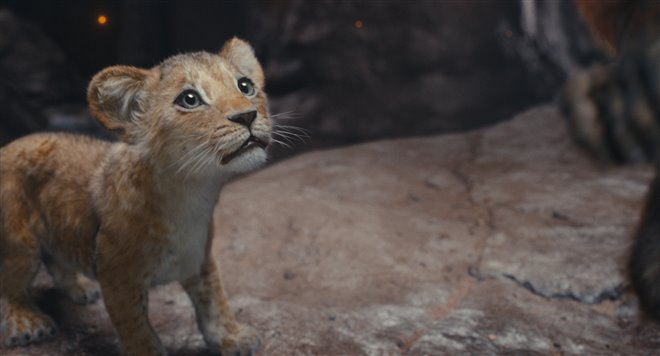 Mufasa: The Lion King - Photo Gallery
