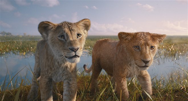 Mufasa: The Lion King - Photo Gallery