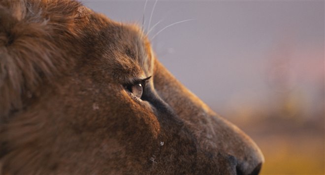 Mufasa: The Lion King - Photo Gallery