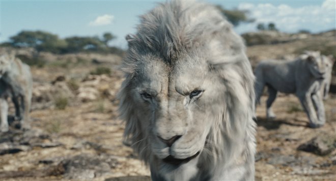 Mufasa: The Lion King - Photo Gallery