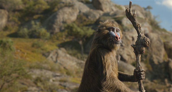 Mufasa: The Lion King - Photo Gallery