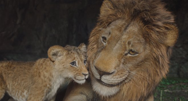Mufasa: The Lion King - Photo Gallery