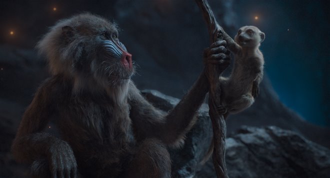 Mufasa: The Lion King - Photo Gallery