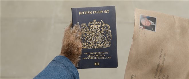 Paddington in Peru - Photo Gallery